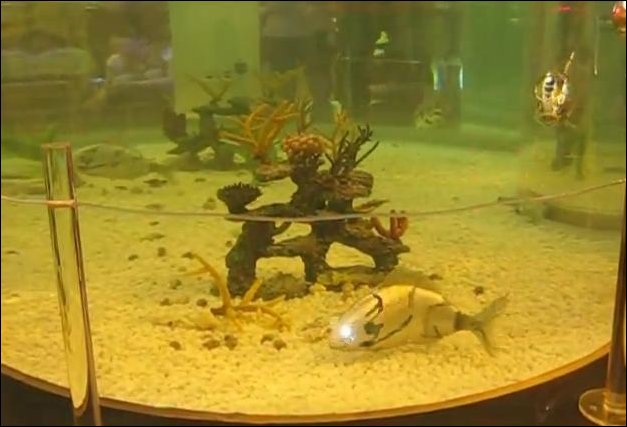 Аквариум с рыбами-роботами