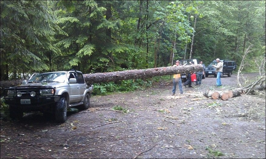 Как американцы ездят за дровами