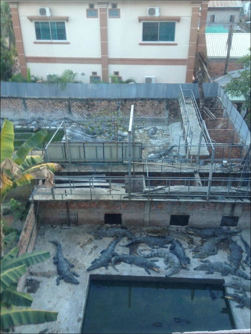 Вид из окна номера отеля в Камбодже