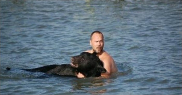 Спасение тонущего в море медведя