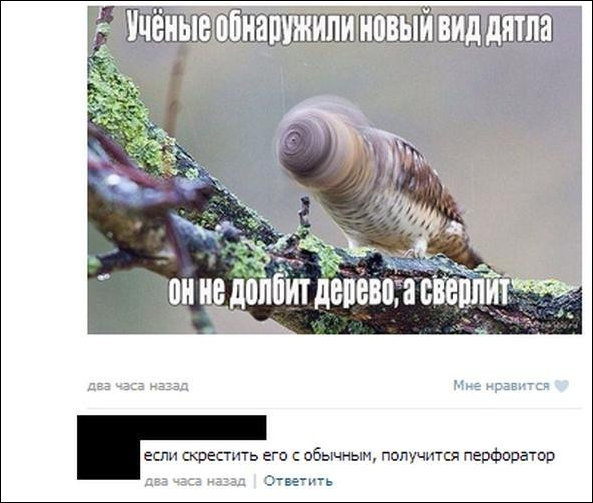 Смешные комментарии из социальных сетей Смешные комментарии из социальных сетей