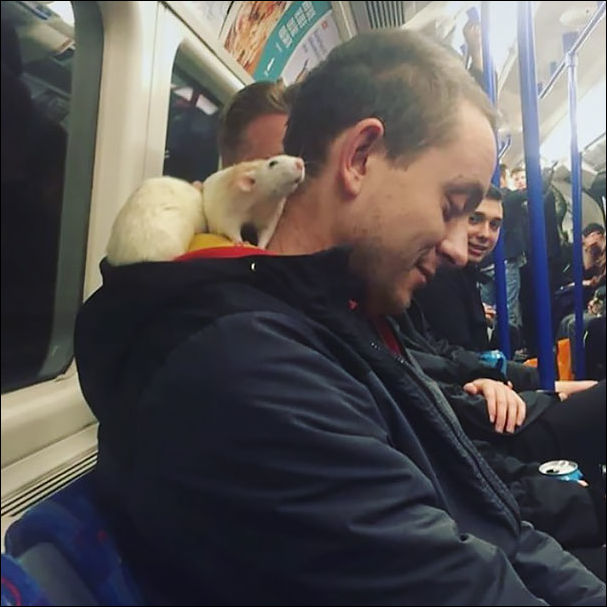 странные люди в метро