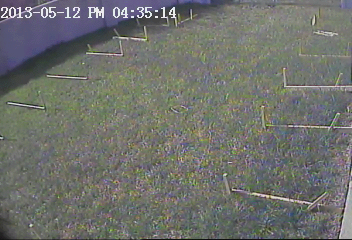 Строительство бассейна Строительство бассейна