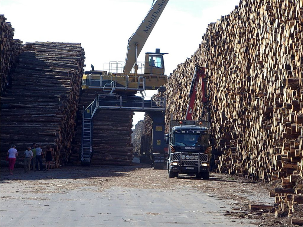 Самое большое в мире хранилище древесины