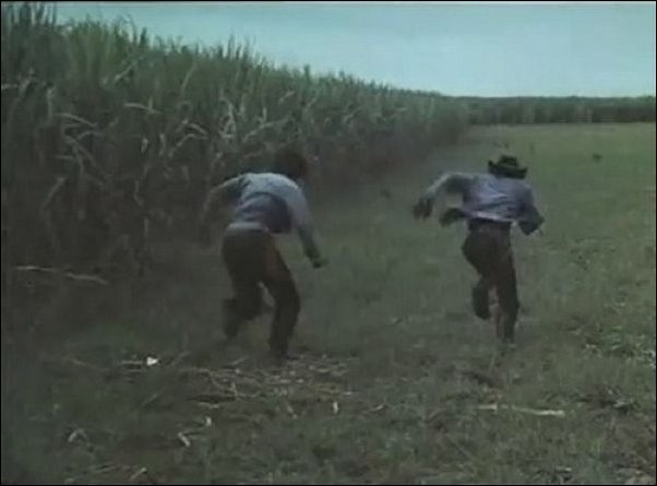 Индийское кино Индийское кино