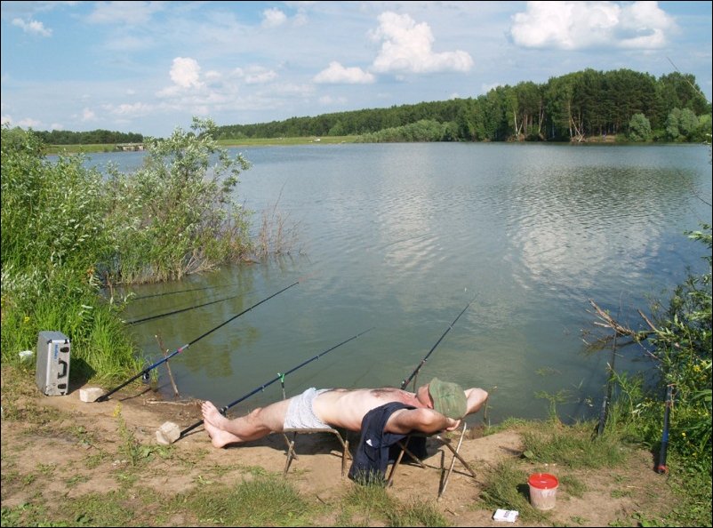 Подборка фотографий Подборка фотографий