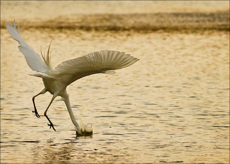 Подборка фотографий Подборка фотографий