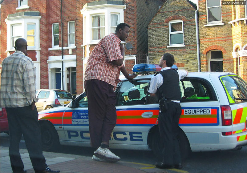 Подборка фотографий Подборка фотографий