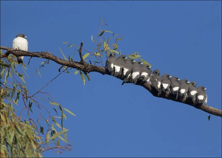 Подборка фотографий Подборка фотографий