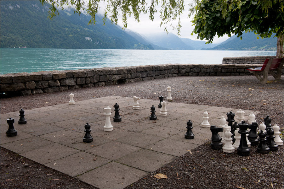 Подборка фотографий Подборка фотографий