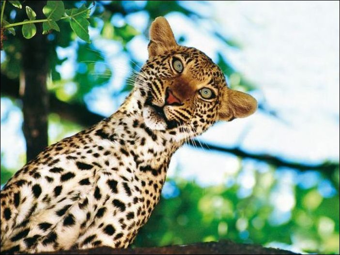 Подборка фотографий Подборка фотографий