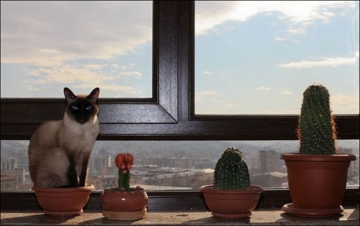 Подборка фотографий Подборка фотографий