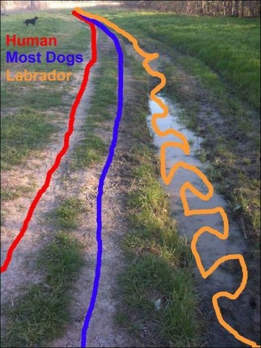 Подборка фотографий Подборка фотографий