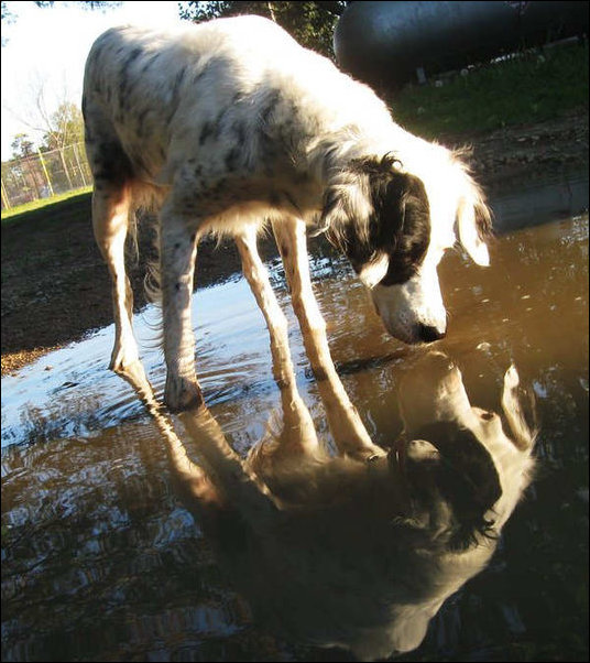 Подборка фотографий Подборка фотографий