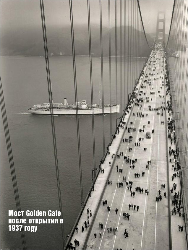 Подборка фотографий Подборка фотографий