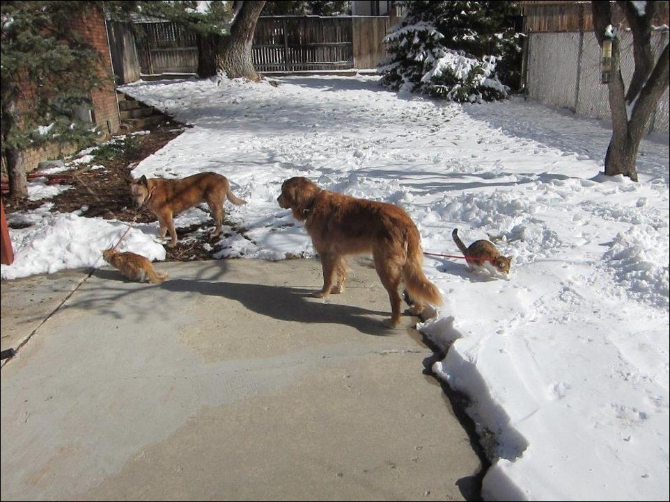 Подборка фотографий Подборка фотографий
