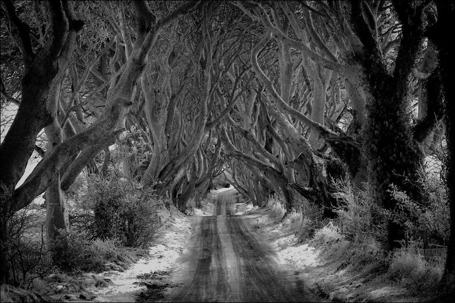 Подборка фотографий Подборка фотографий