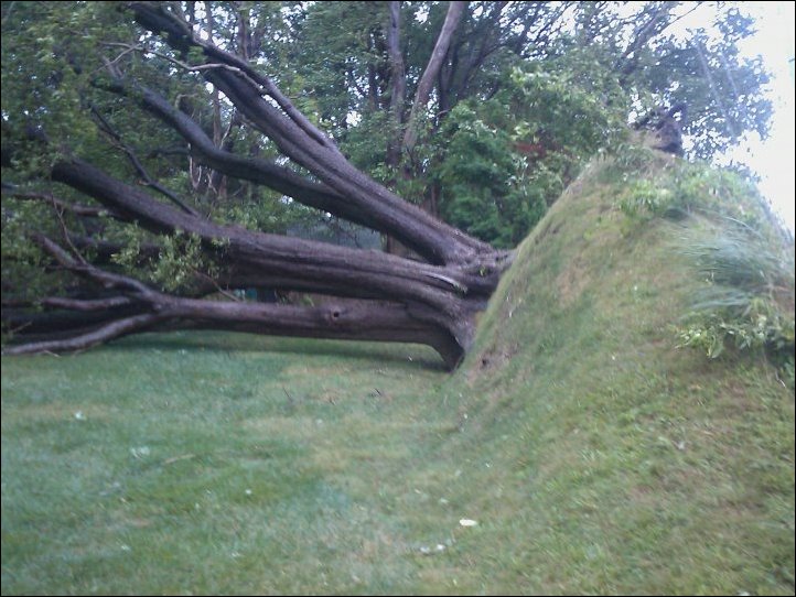 Подборка фотографий Подборка фотографий