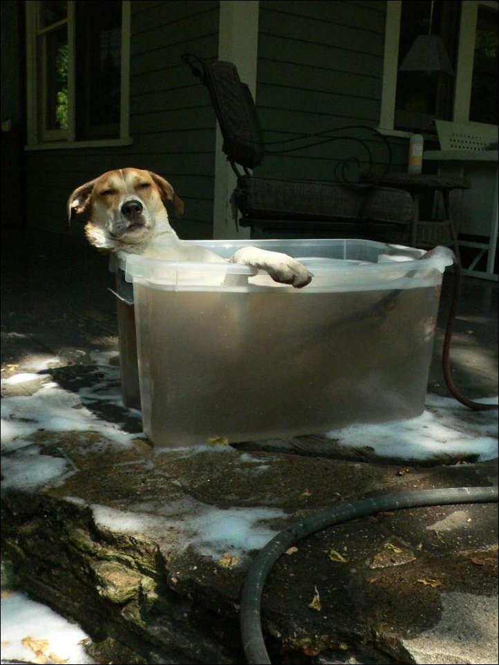 Подборка фотографий Подборка фотографий