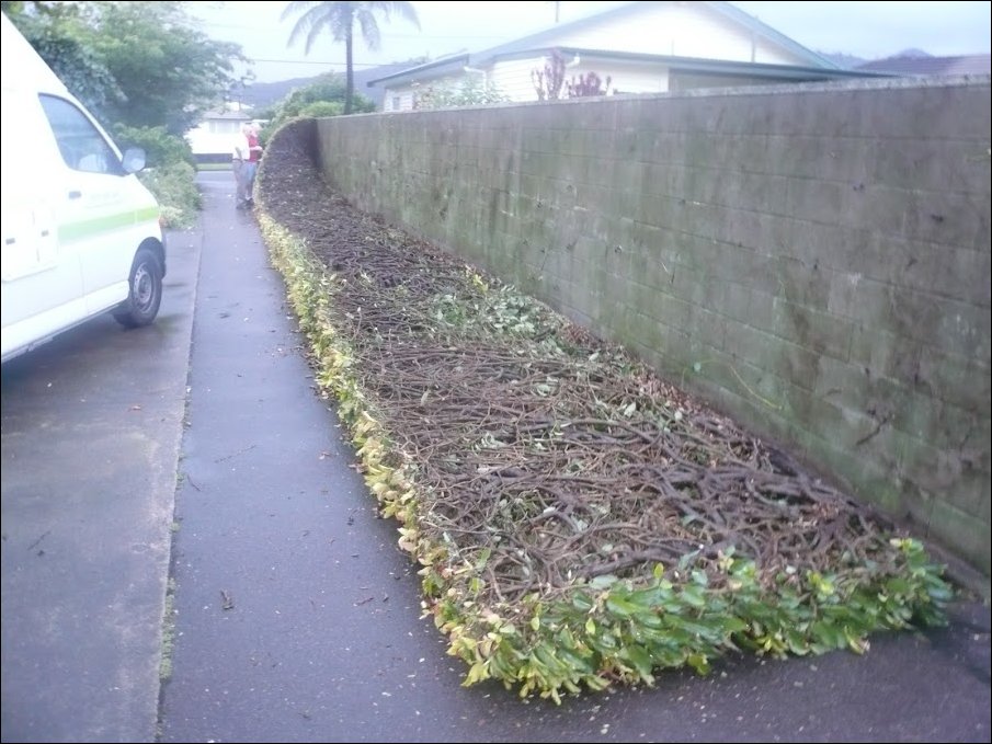 Подборка фотографий Подборка фотографий