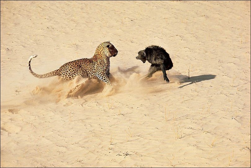 Подборка фотографий Подборка фотографий