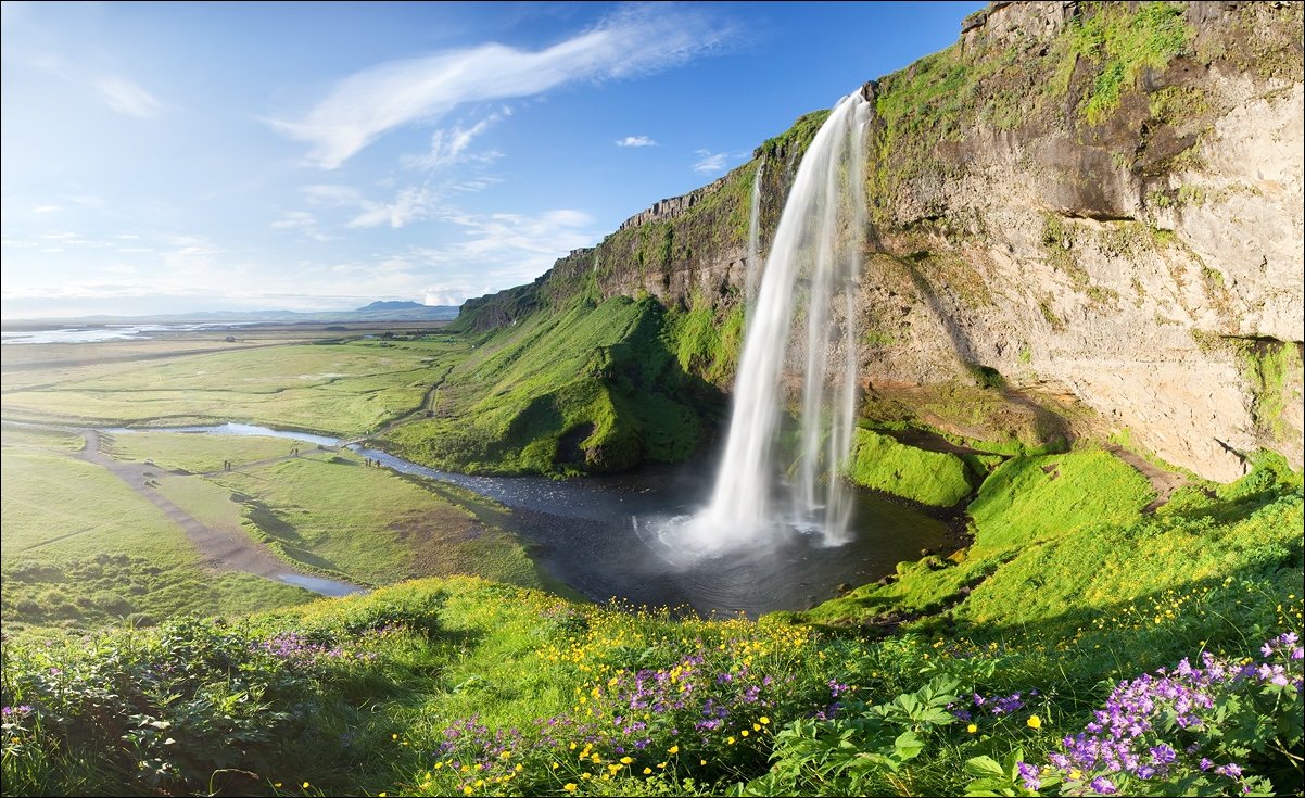 Подборка фотографий Подборка фотографий