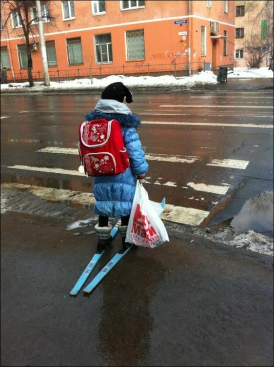 Подборка фотографий Подборка фотографий