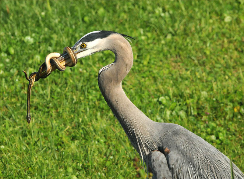 Подборка фотографий Подборка фотографий