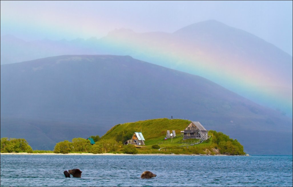 Подборка фотографий Подборка фотографий