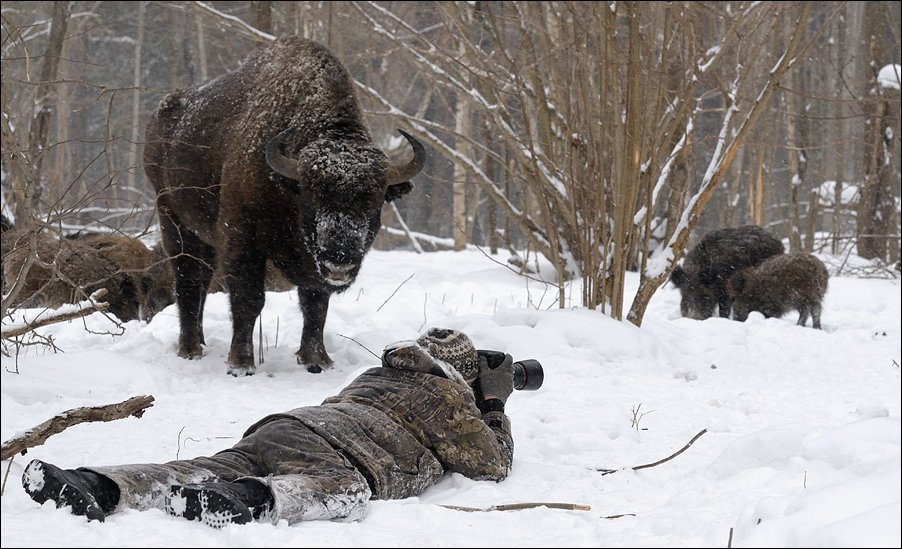 Подборка фотографий Подборка фотографий
