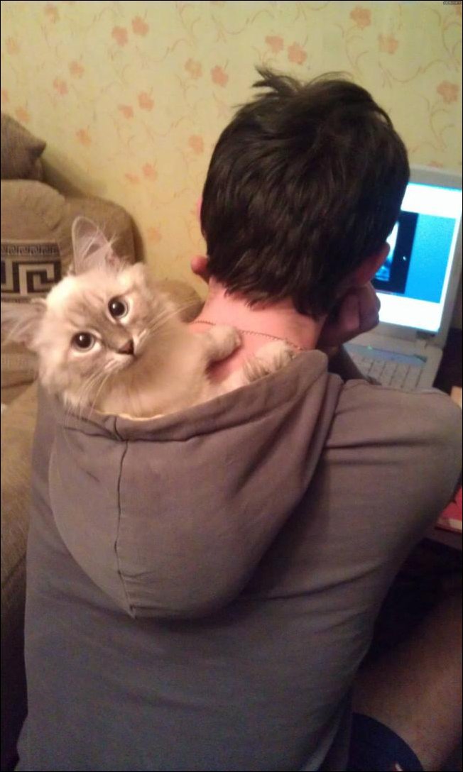 Подборка фотографий Подборка фотографий