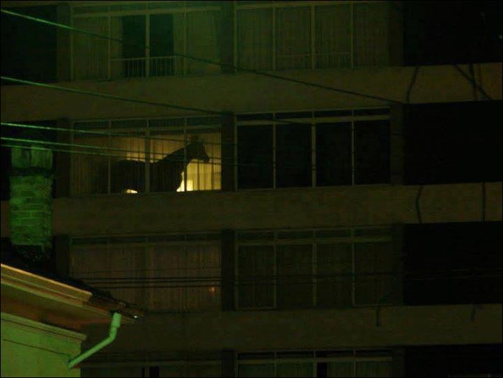 Подборка фотографий Подборка фотографий