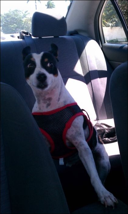 Подборка фотографий Подборка фотографий