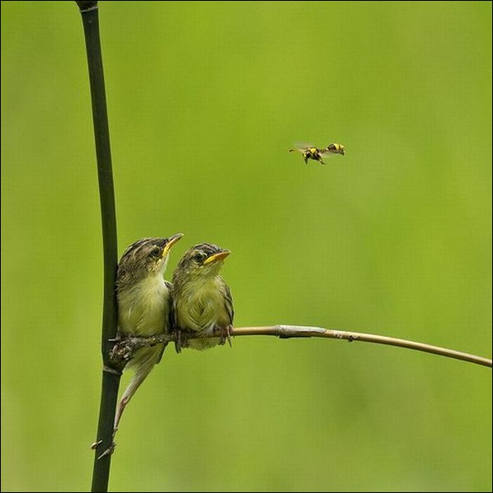 Подборка фотографий Подборка фотографий