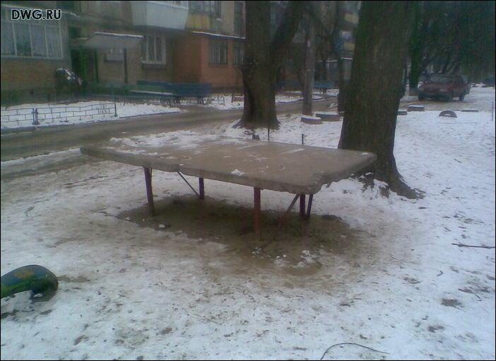 Подборка фотографий Подборка фотографий