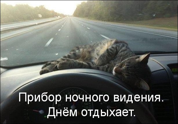 Подборка фотографий Подборка фотографий