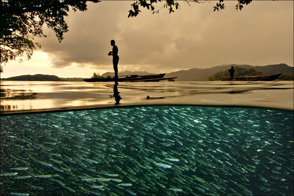 Подборка фотографий Подборка фотографий