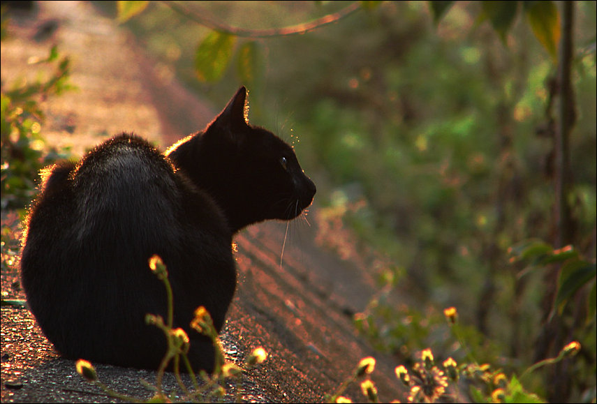 Подборка фотографий Подборка фотографий