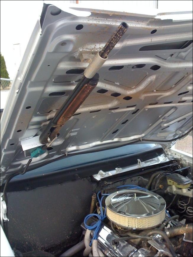 Подборка фотографий Подборка фотографий