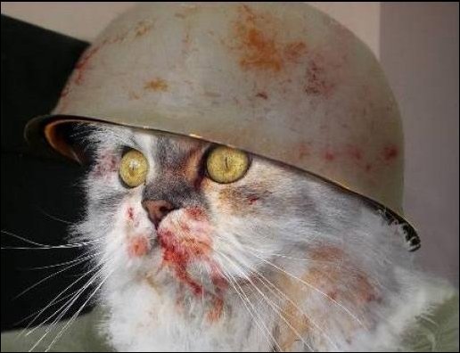 Подборка фотографий Подборка фотографий