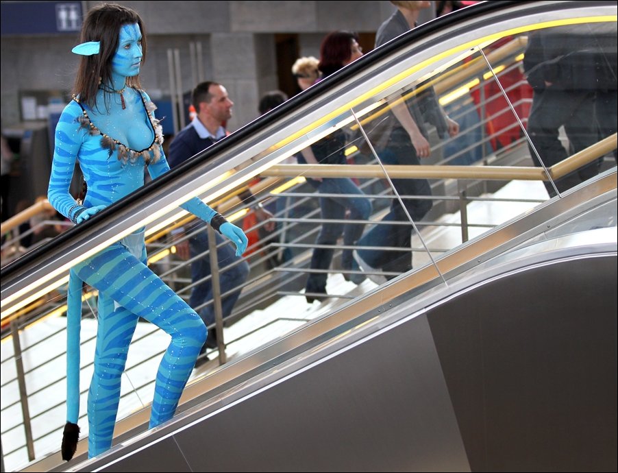 Подборка фотографий Подборка фотографий