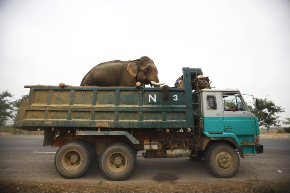 Подборка фотографий Подборка фотографий