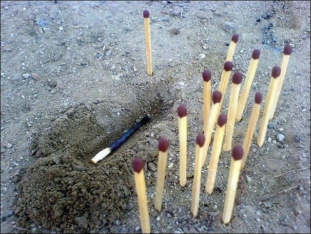 Подборка фотографий Подборка фотографий