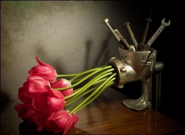 Подборка фотографий Подборка фотографий