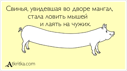 Прикольные Аткрытки Прикольные Аткрытки