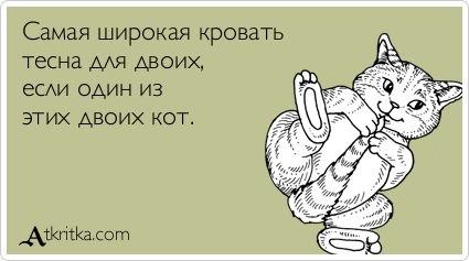 Прикольные Аткрытки Прикольные Аткрытки