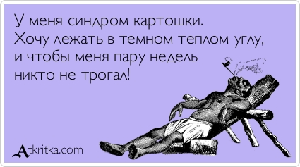 Прикольные Аткрытки Прикольные Аткрытки