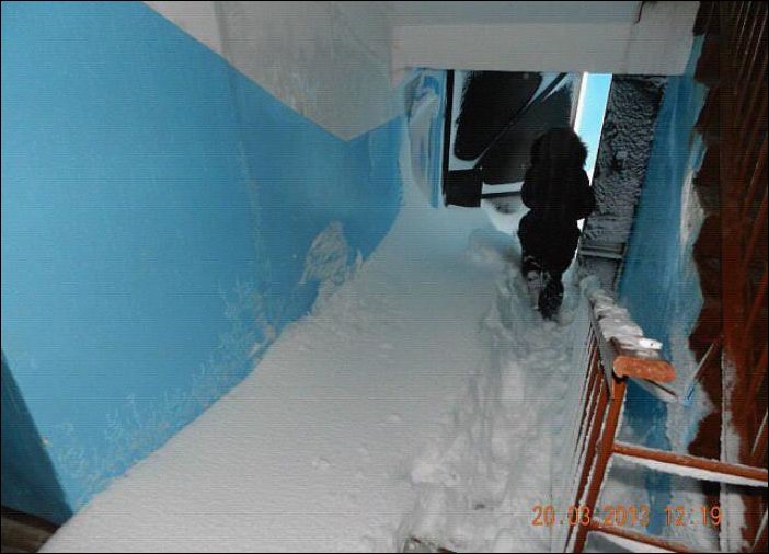 Подборка фотографий Подборка фотографий