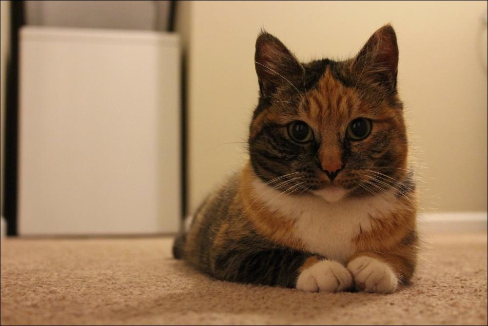 Подборка фотографий Подборка фотографий