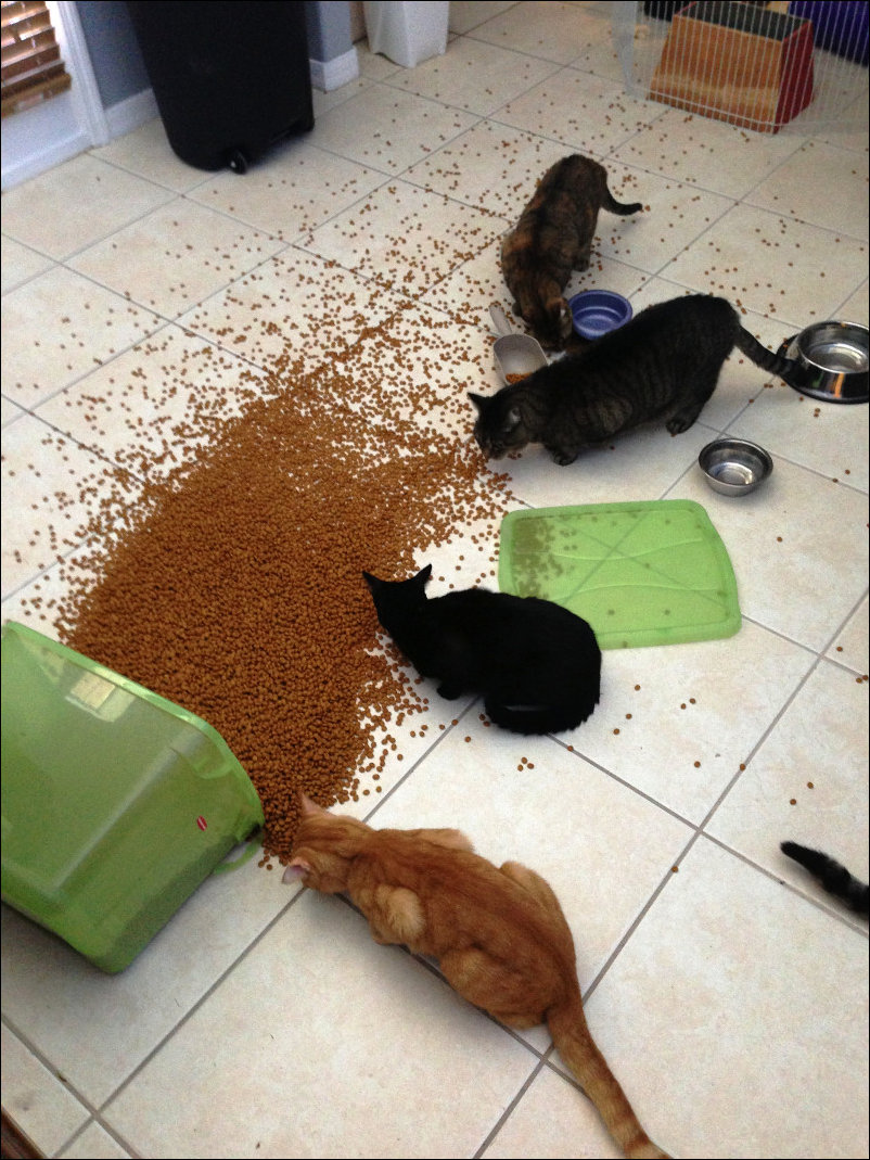 Подборка фотографий Подборка фотографий